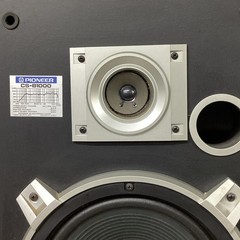 2 Pioneer Model CS-B1000 Speakers