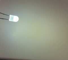 (10)WARM WHITE FROSTED 12V-14V LED / MC7106 MC2002 MC2102 MC2125 McIntosh BULBS!