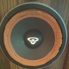 Cerein Vega DX-1 speaker set tested Working