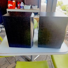 Imfinity IL10 Speaker Pair. Beautiful Black Grain Wood. USA. Pick Up Only!