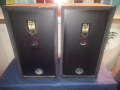 Cerein Vega DX-1 speaker set tested Working