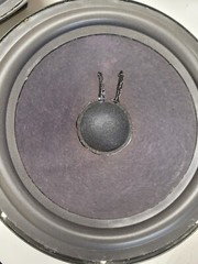 Epicure 3.0 Pyramid Refoamed Replacement Speakers 10″