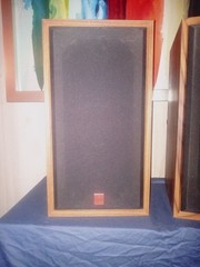 Cerein Vega DX-1 speaker set tested Working