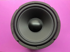 EPI Epicure T/E 100 Series II Speaker Woofer Replacement New Driver FreeShipping