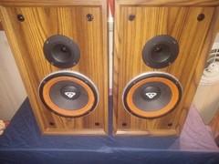 Cerein Vega DX-1 speaker set tested Working
