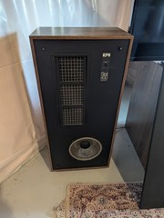 Epicure EPI Stat 450 Electrostatic Speakers, Superior Music Performance