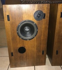 Super Rare Pair Of Petras LoudSpeakers Both Look And Sound Great !