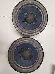 Epicure 3.0 Pyramid Refoamed Replacement Speakers 6″