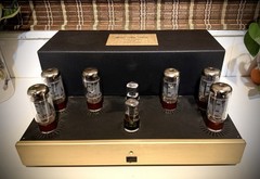 Golden Tube Audio SE-40 Power Amplifier W/ Sonic Craft Upgrade!