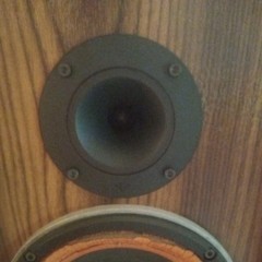Cerein Vega DX-1 speaker set tested Working