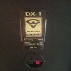 Cerein Vega DX-1 speaker set tested Working