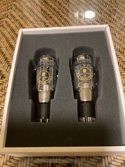 Pair of KR Tubes 300BXLS