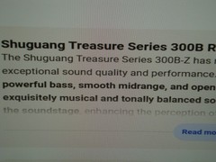 Pair of 300B-98 Tubes By Shaguang, New Ratings