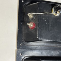 Two Speaker Terminals Reclaimed With Fuse Holders and 1/4”Bayonet Socket AV Shop