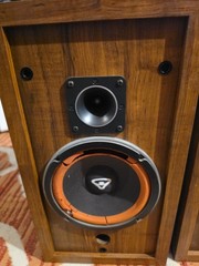 Cerwin Vega D-1 Bookshelf Speaker (Pair) Needs Foam