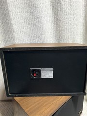 Bose 4.2 Series II Direct Reflecting Speakers Tested Wood