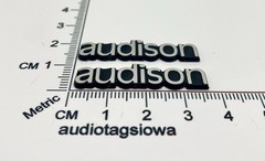 Audison Speaker Badge Logo -Custom Made Incised Silver and Black PAIR