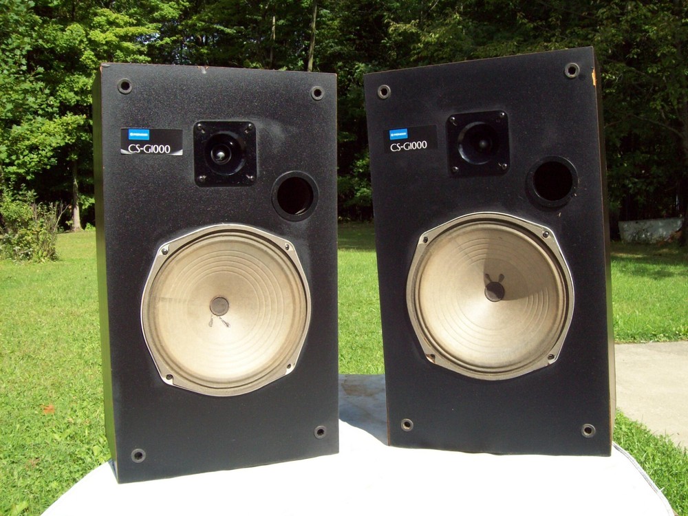 Pioneer CS-G1000, 2-Way Bass Reflex, stereo speakers (MODIFIED)