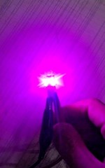 (4)PURPLE 8V-LED LAMPS/G-5500,G-5000,G-4500,G-3500,G-3000,G-4700 G-5700 / Sansui