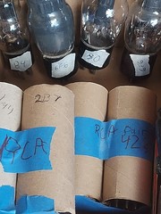 RCA Tubes & Part Lot