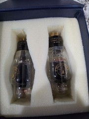 Pair of KR Tubes 300BXLS