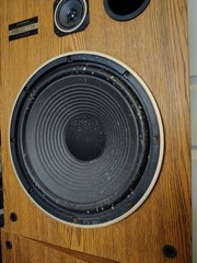 Pair of Vintage Pioneer CS-G303 3-Way Speaker System 120W 35-20 KHz 6ohm READ