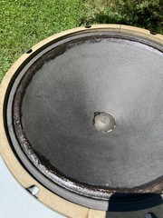 JENSEN P15N 15″ Fullrange Speaker for Fender