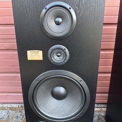 Pioneer CS-R580 3-Way Wood Floor Speakers Black Pair Tested