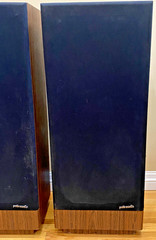 POLK AUDIO SDA 2 TWIN 6.5″ DRIVERS – 12″ PASSIVE RADITOR – TOWER SPEAKERS