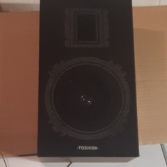 Toshiba Vintage Home Audio Speaker System Black Wood Cabinet Wired