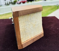 Pair of Vintage Microstatic Micro Acoustics MS-1 External Tweeters Wood Case