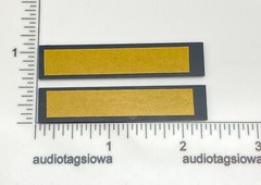 Pioneer Speaker Badge Logo -Custom Made Incised Gold 58mm 3D PAIR