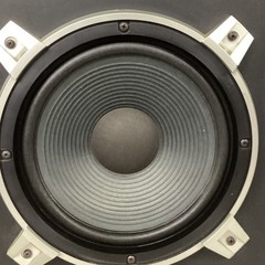 2 Pioneer Model CS-B1000 Speakers