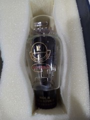 Pair of KR Tubes 300BXLS