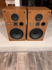 Pioneer CS G-303 Home speakers