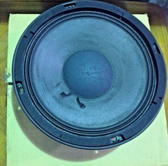 Fostex CSW25 25cm 10″ SUPER WOOFER VERY RARE MADE IN JAPAN 4OHM 100W Carbon