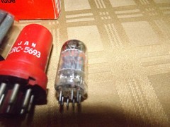 R.C.A. tube set for Fender Champ 5F1 and 600 champion amplifier 6v6, 12ax7,5y3..
