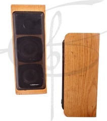 Vintage AudioSource Waterfall Tall Shelf Speakers LS Eleven Oak 60w Max 4ohm