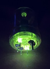 TWO 4-65A VACUUM TUBES WITH URANIUM GLASS SEALS – VASELINE GLASS – NICE UV GLOW