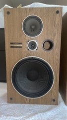 Pioneer CS-G303 3-Way Speakers Pair