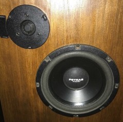 Super Rare Pair Of Petras LoudSpeakers Both Look And Sound Great !