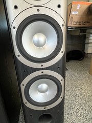 Infiniti Alpha 50 Speakers. Floor Standing in great condition!
