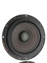 Pair of EPI Epicure Model 70 Woofers New Foam – WORKS