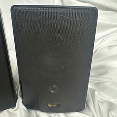 Advent Marbl Indoor Outdoor Speakers & Brackets In Great Working Condition!