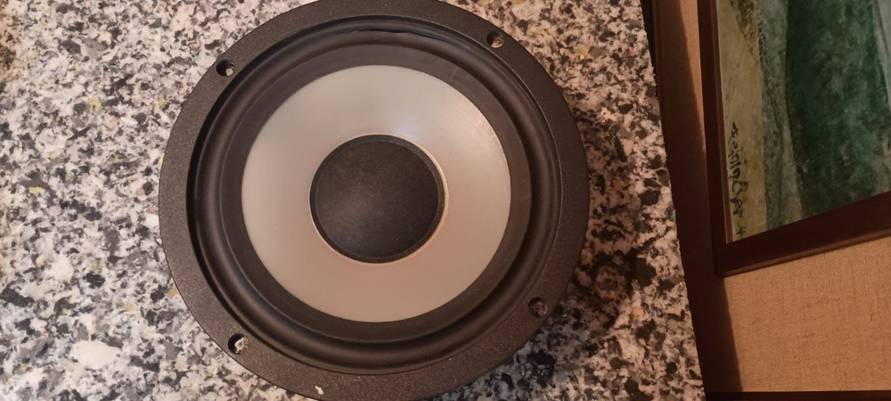 Klipsch KG2 Speakers Single Woofer 9K9 Works needs surround