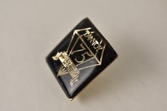 Single Tannoy 75 Years Speaker Badge Emblem Logo Gold Metal Pin Grill Cloth