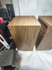 Pioneer CS-66G speakers, one pair