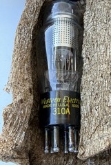 Western Electric Vacuum Tube 310A 5 60 (6025) 1960 Date New Old Stock