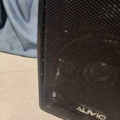 Auvio 4” 3Way Vintage Indoor/Outdoor Speaker