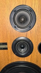 Pioneer Speakers CS-G204